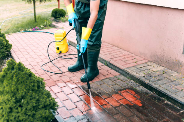 Best Soft Washing for Delicate Surfaces in Rden City, GA
